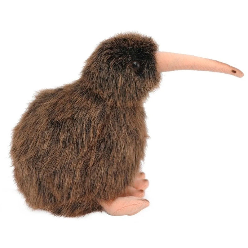 Antics | Great Spotted Kiwi - With Sound