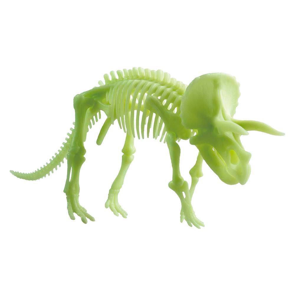 Edu Toys | Glow In The Dark - Triceratops