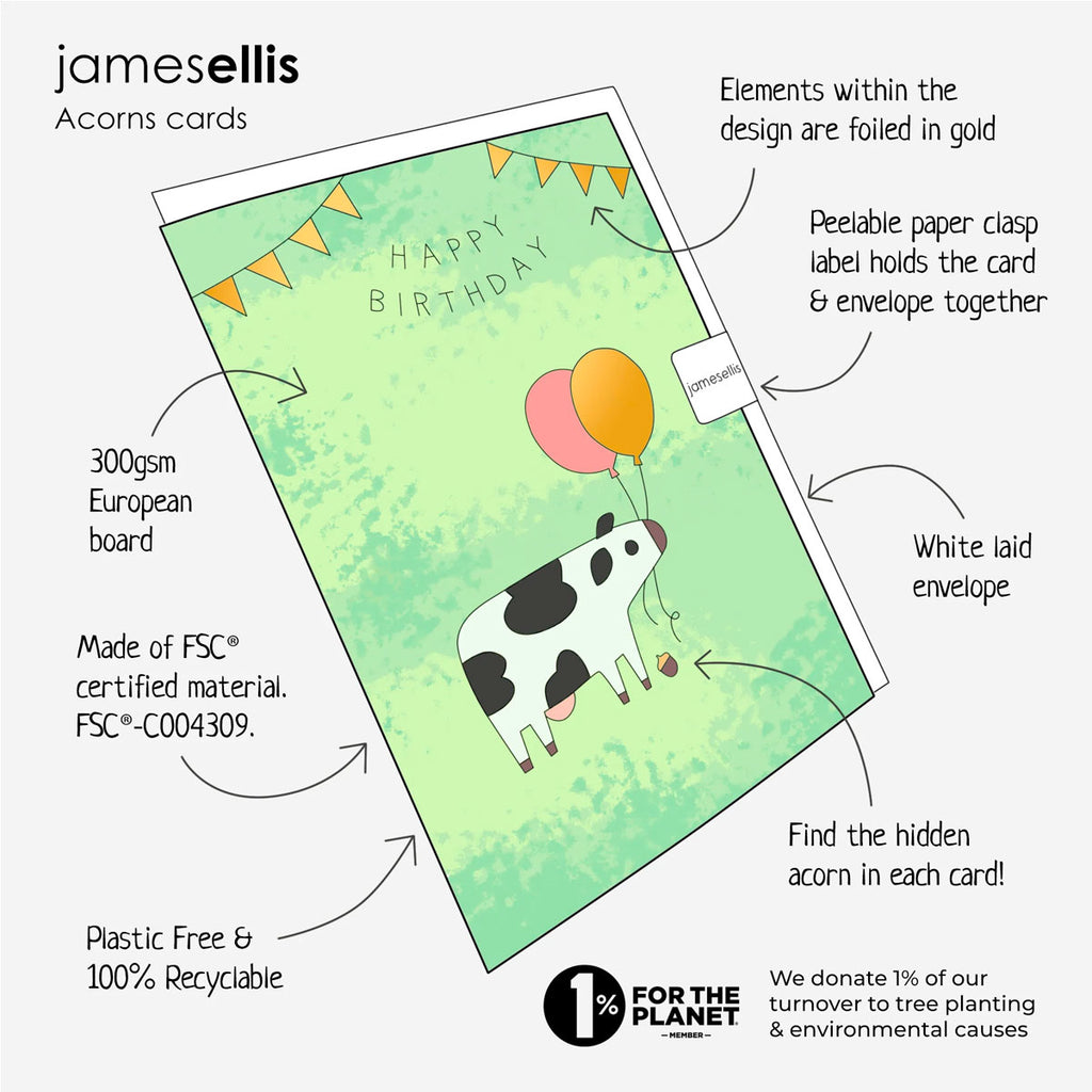 James Ellis | Birthday Card - Balloons Age 6