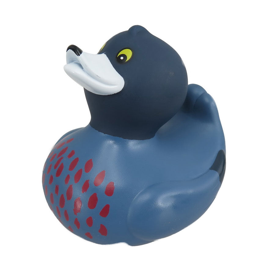 Antics | Bath Duck - Blue Duck (Whio Whio)