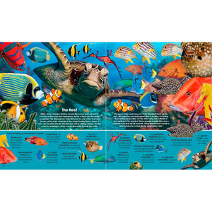 Garry Fleming | 252 Piece Puzzle with Book - Sea Animals