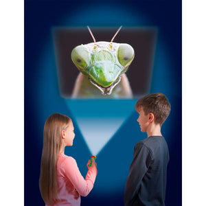 Brainstorm Toys | Torch & Projector- Creepy Crawly