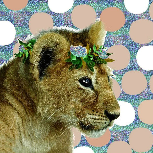 Birthday Card | Lioness