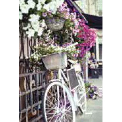 Frankie & Me | 90x60cm Poster - Bike N Flowers