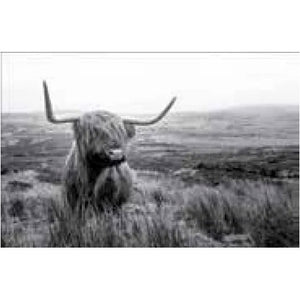 Frankie & Me | 90x60cm Poster - Hairy Coo