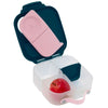 B-Box | Mini Lunch Box - Indigo Rose