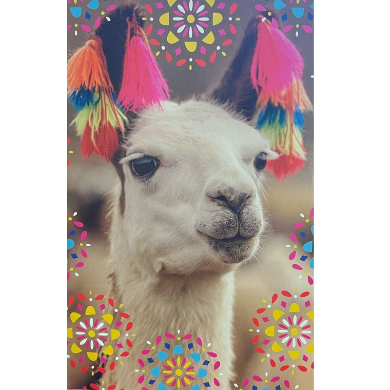 Birthday Card | Llama Kiss