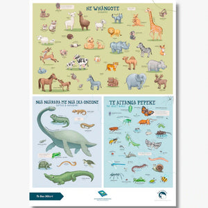 Kuwi | Te Reo Poster - Animals
