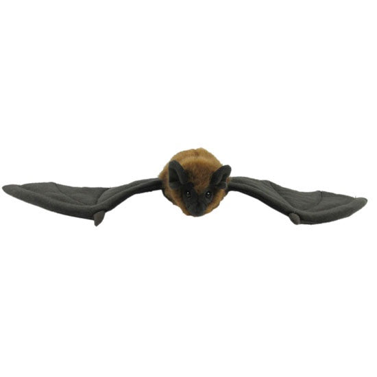 Antics | Long Tailed Bat
